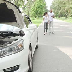 A couple stranded at the side of the road while they wait for a tow.